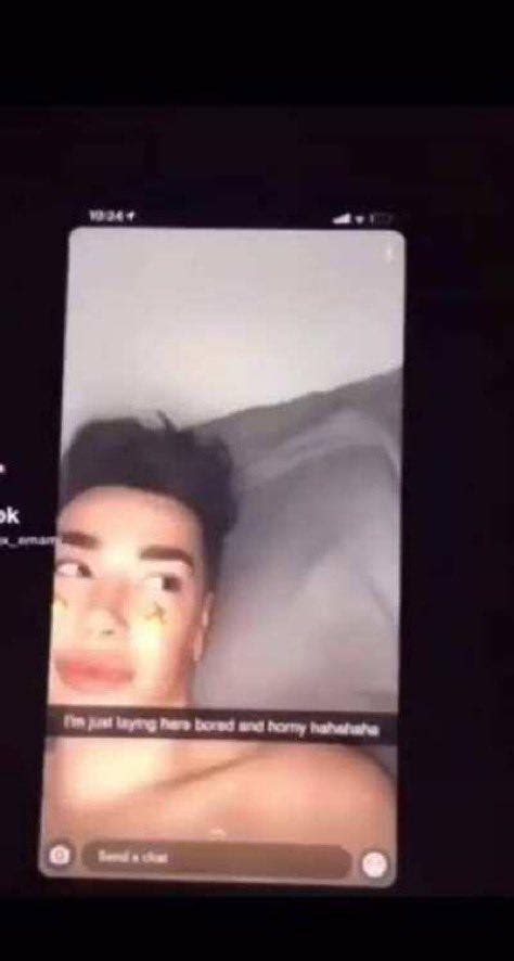 chanlewds leak|James Charles Video Leak 2024 on X (Twitter) and Reddit